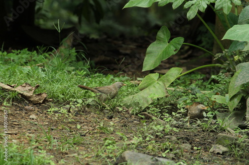 Beautiful nature and its different macro living forms 