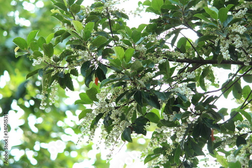 Beautiful nature and its different macro living forms 