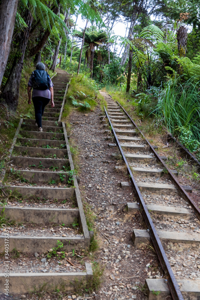 Fototapeta premium Old train rairoad at Karangahake gorge in New Zealand