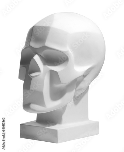 Gypsum skull on white background