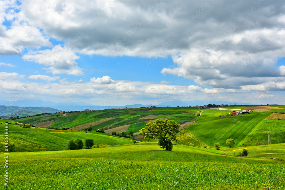 The countryside landscape in the province of Benevento, Italy
