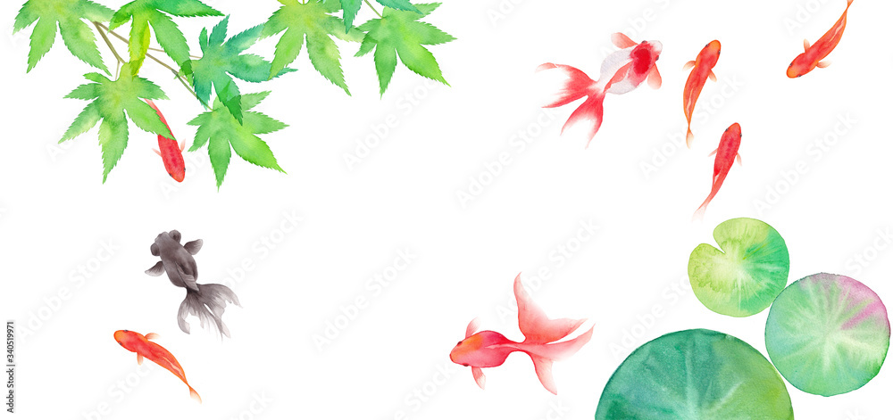金魚と緑のモミジと睡蓮の葉で構成した夏のイメージ背景 水彩イラスト Stock Illustration Adobe Stock
