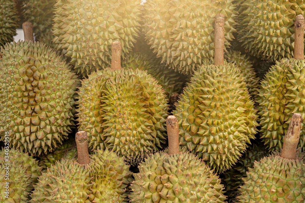 Group of fresh durians in the durian market. Group of fresh durians in the durian market.