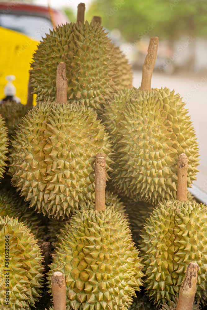 Group of fresh durians in the durian market. Group of fresh durians in the durian market.