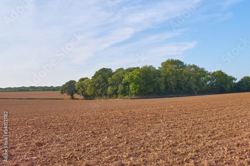 Fotografie Ploughed, muddy field in Herefordshire countryside