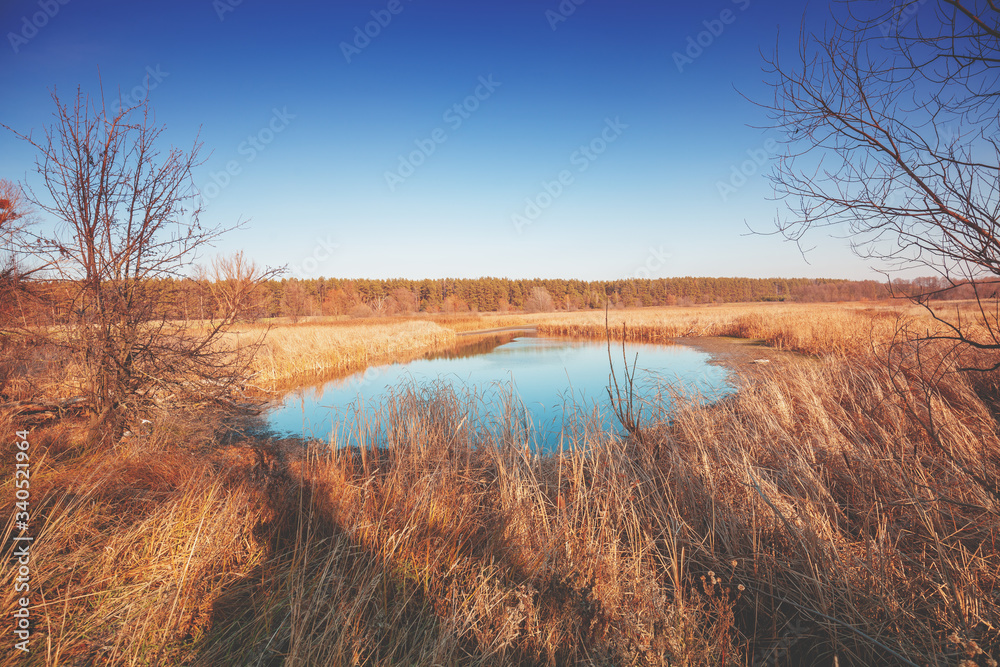 Countryside in early spring. A small lake on a sunny day with clear blue sky. Nature landscape