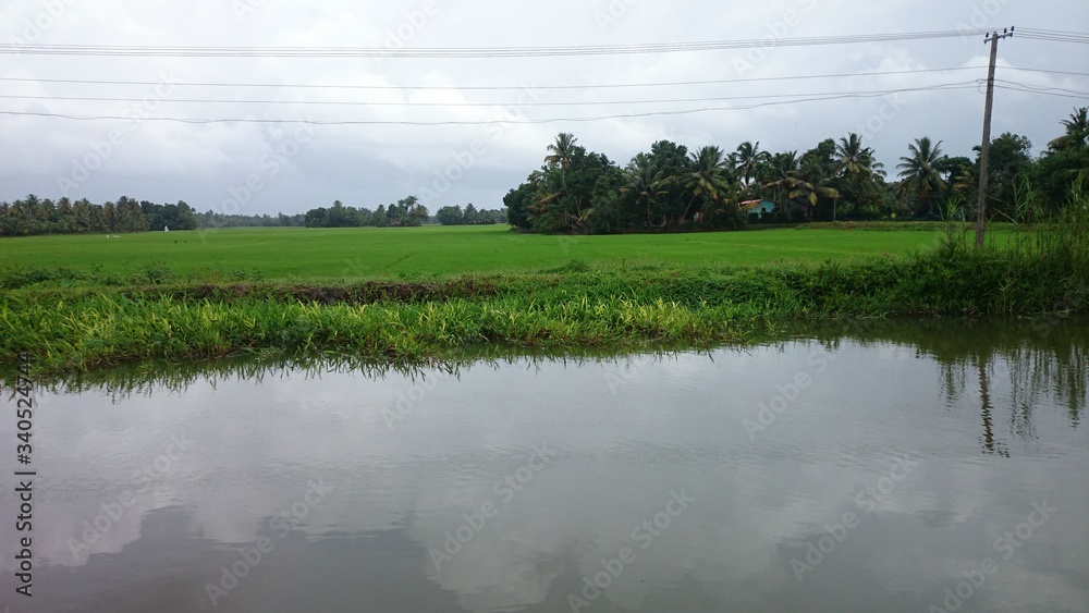 Beauty of Allapey, Kerala
