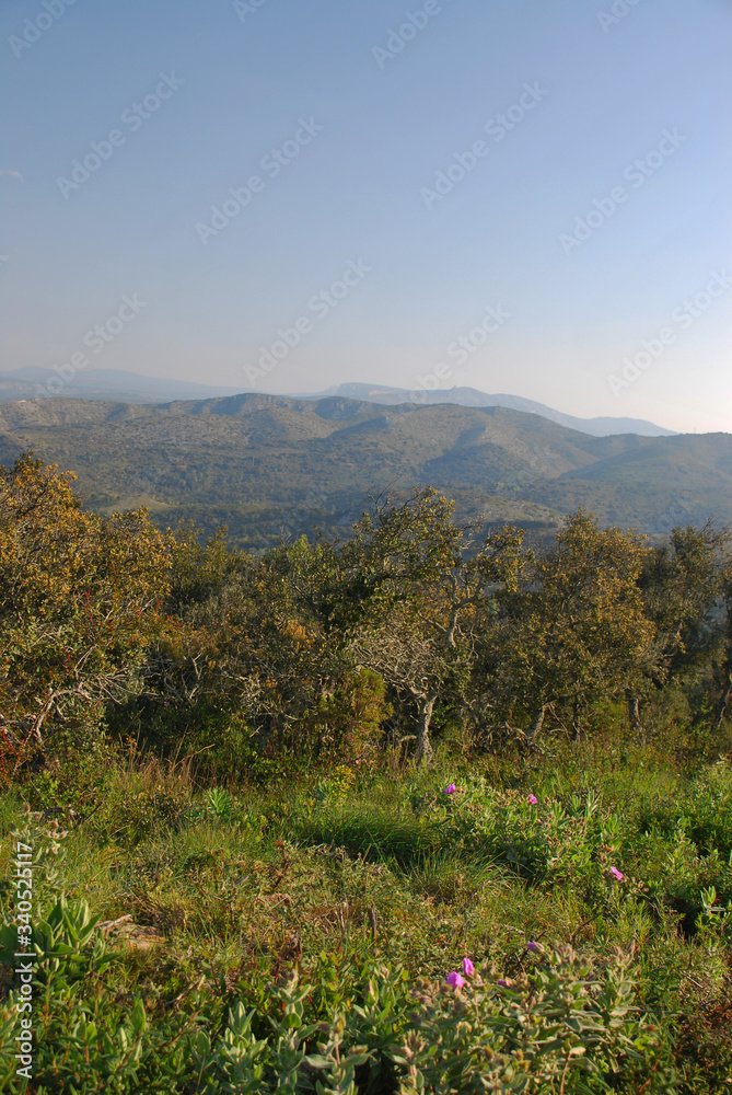 Panorama Pyrénées Orientales 