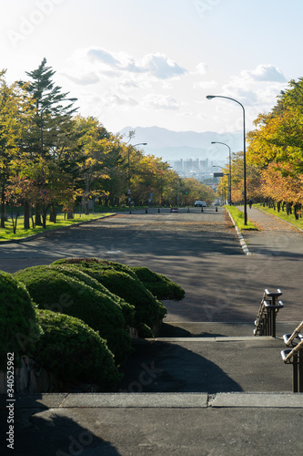 view on Sapporo in autumn