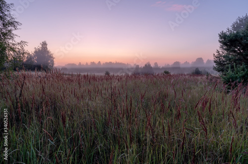 Sunrise in the field. In the morning in a field near the forest. Fog and dew in the field. Landscape.