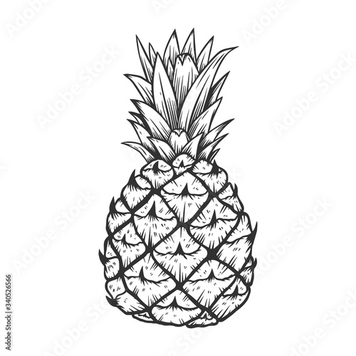 illustration of pineapple in engraving style. Design element for poster, label, sign, emblem, menu. Vector illustration