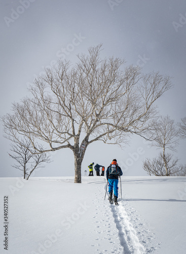 skitouring in Hokkaido/Japan with a scenic tree