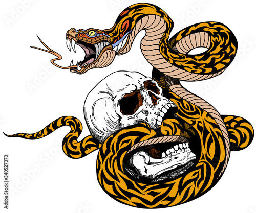 snake coiled around the broken human skull. Tattoo. Vector illustration