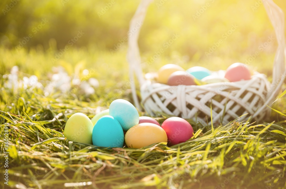 easter eggs in spring grass isolated. easter holiday backgrounds.