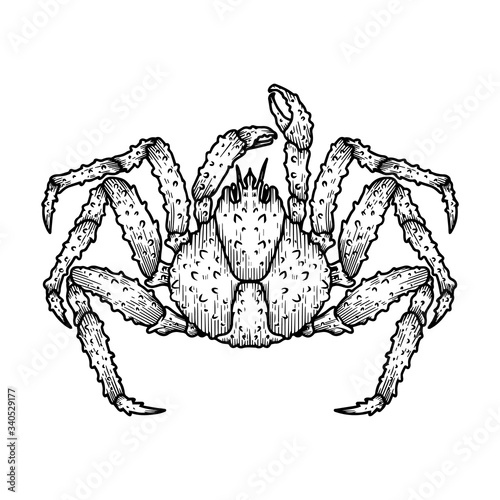 Canvastavla Illustration of japanese spider crab