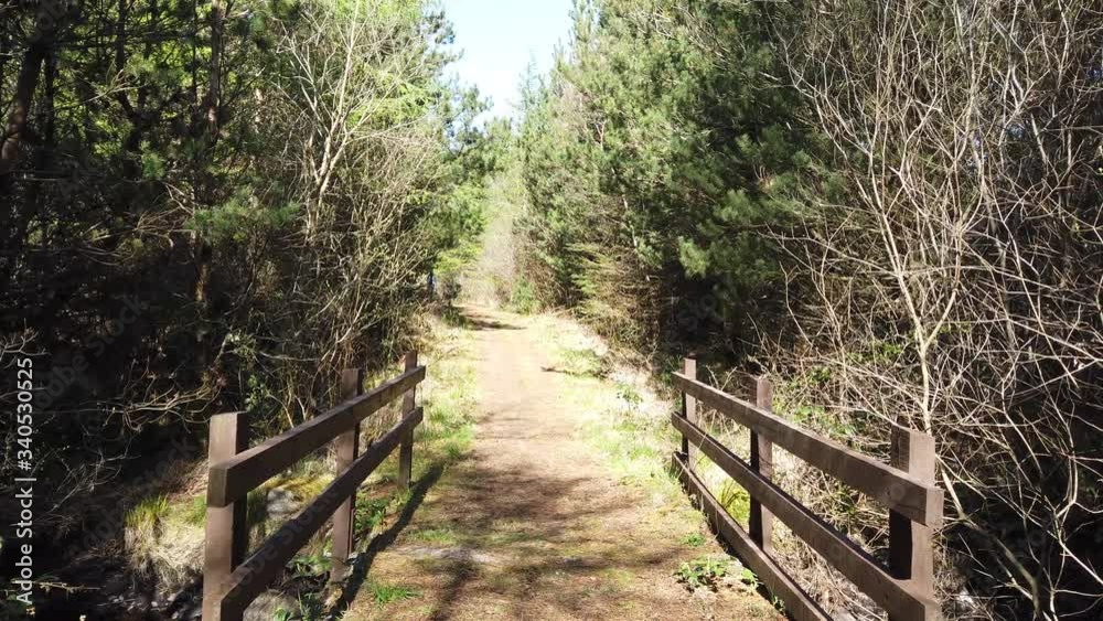 Beautiful forest at Lake Namanlagh close to Bonny Glen in County Donegal - Ireland Beautiful forest at Lake Namanlagh close to Bonny Glen in County Donegal - Ireland