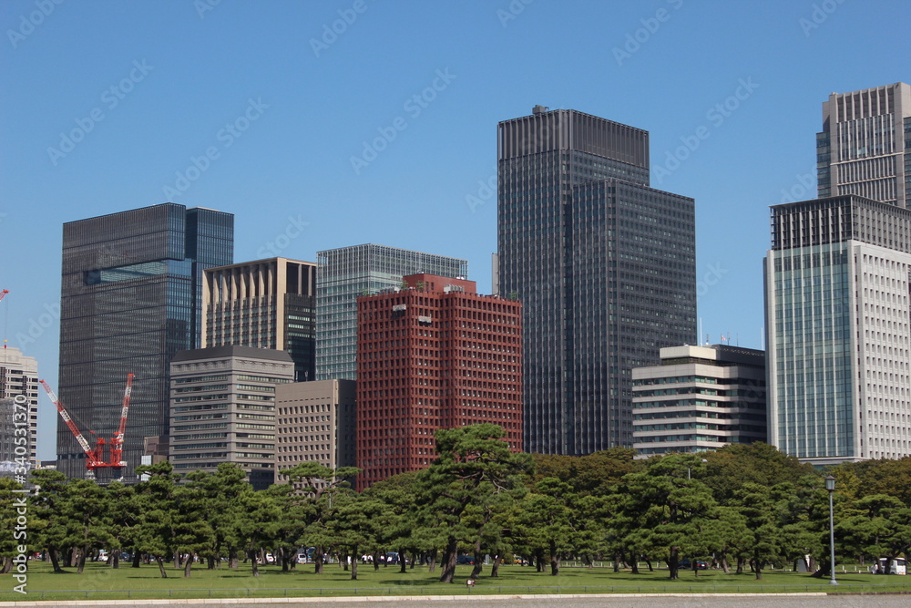 東京のビル街と樹木