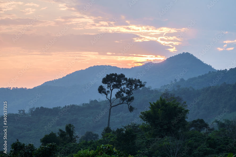 Traveling to see the sea of mist and sunrise in the morning at the view of Phu Lanka, Phayao Province, Thailand