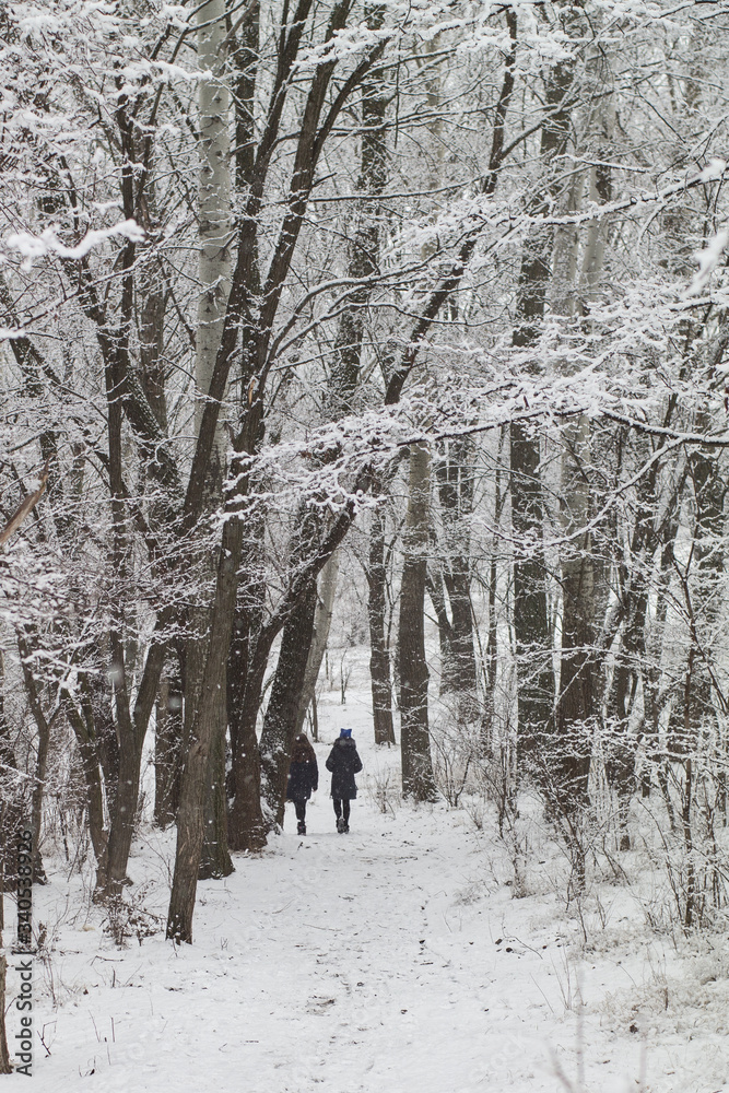 Fototapeta premium walking in the winter snowy forest