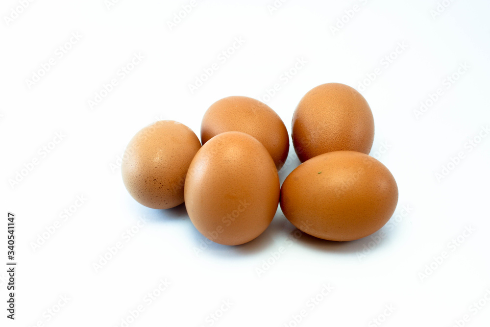 egg
egg