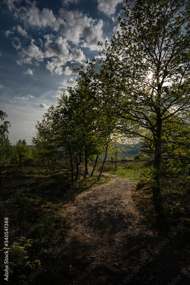 Siefersheimer Horn / Rheinhessen