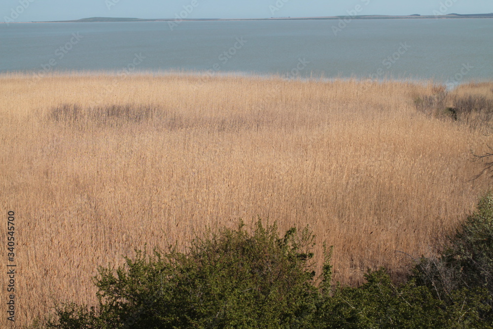 SPRING PANORAMA AKHTANIZOVSKAYA ESTUARY SPRING PANORAMA AKHTANIZOVSKAYA ESTUARY