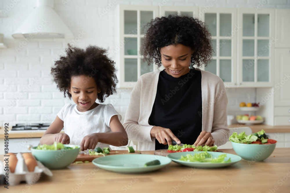 Loving African American mother and cute little preschooler daughter have fun cooking in modern kitchen together, happy biracial mom and small girl child prepare salad, healthy lifestyle, diet concept Loving African American mother and cute little preschooler daughter have fun cooking in modern kitchen together, happy biracial mom and small girl child prepare salad, healthy lifestyle, diet concept
