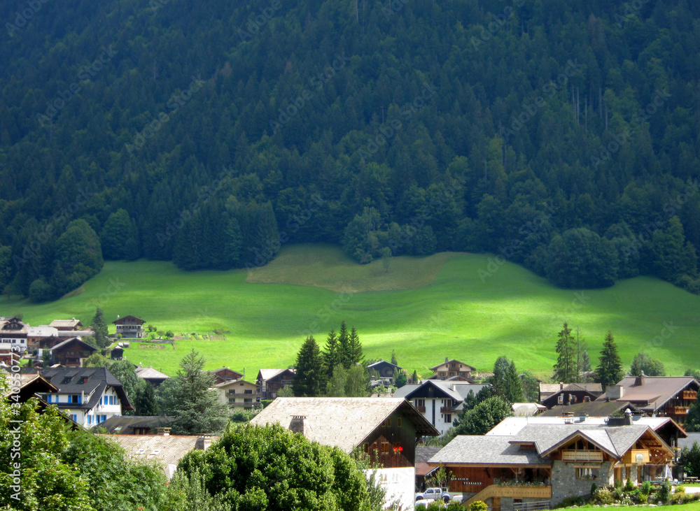 View on sunny alpine field