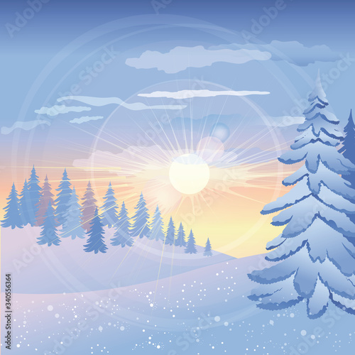 Beautiful winter sunset in forest background