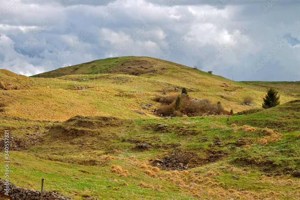 Obraz premium Natura