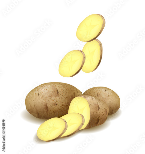 Still life of a few potato, the potato cut on a white background. Vector illustration.