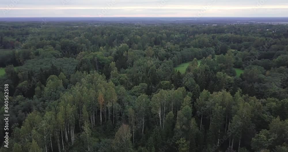 Green forest scenery during day. Aerial circle pan Green forest scenery during day. Aerial circle pan