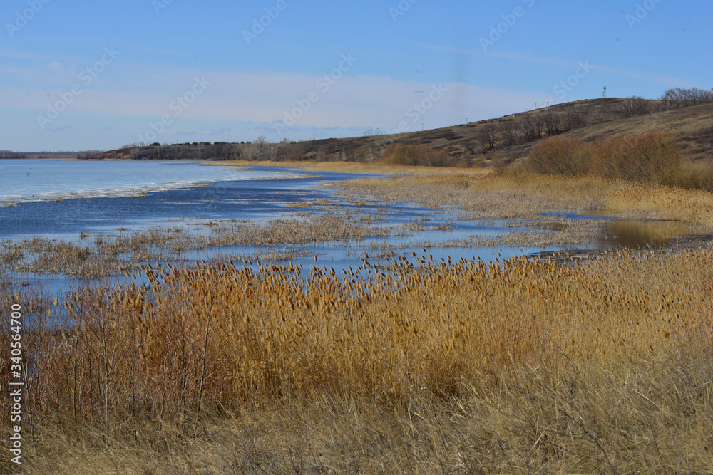 Hills overgrown with sedge on the shores of a melting lake