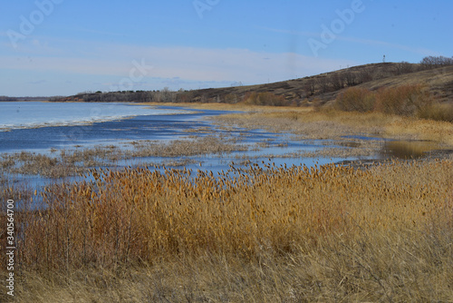 Hills overgrown with sedge on the shores of a melting lake