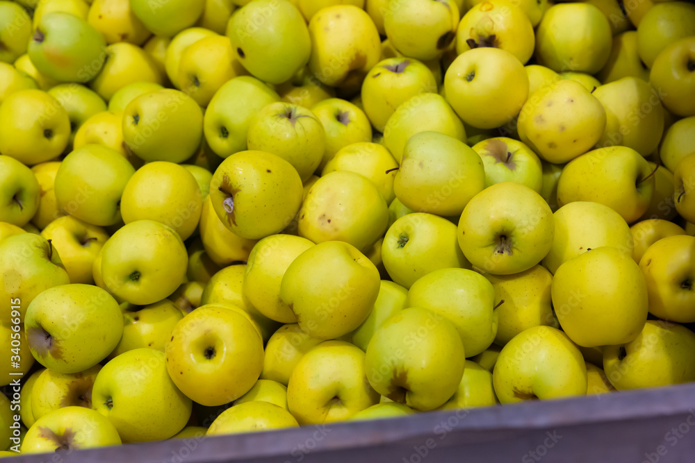 Fresh apples on the counter in supermarket, nobody
