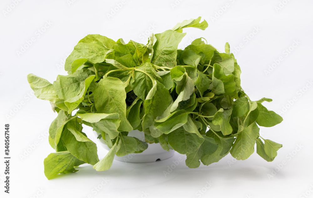 Close up view of (Amaranthus viridis), Bunch of Green Amaranth leaves or bayam hijau isolated on white background Close up view of (Amaranthus viridis), Bunch of Green Amaranth leaves or bayam hijau isolated on white background