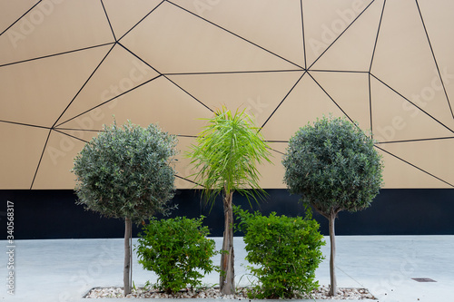 Different shades of green bushes of different shapes and sizes on the background of an abstract wall with beautiful lines