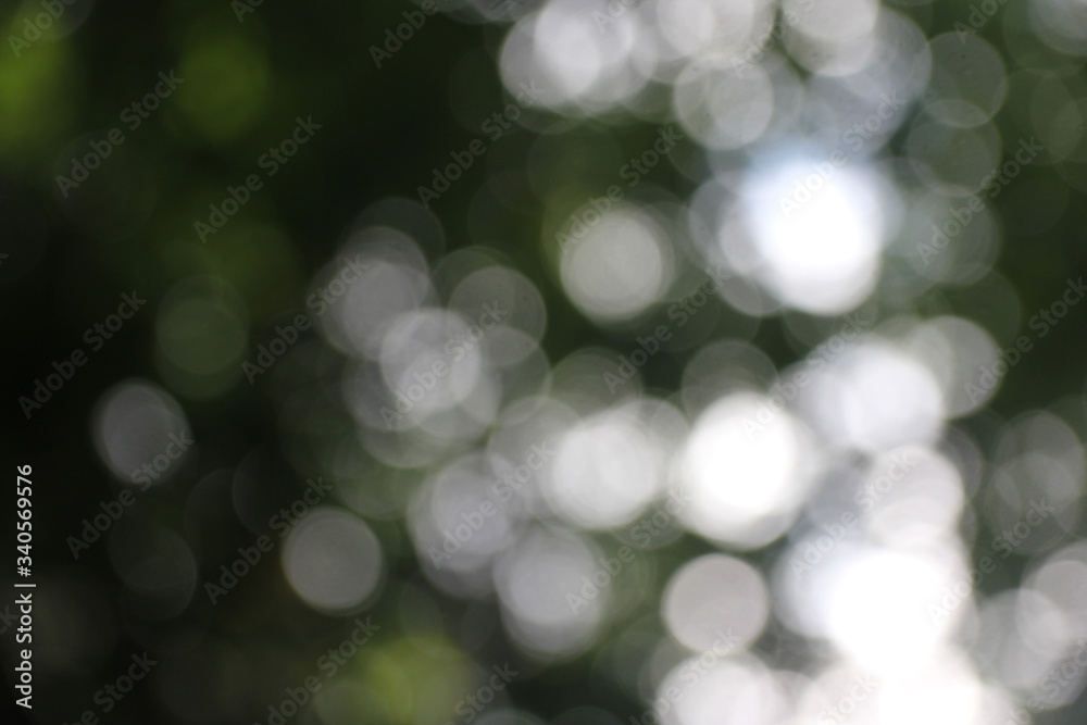 Naklejka premium Green and dark vintage lights background with bokeh. Forest background, defocused