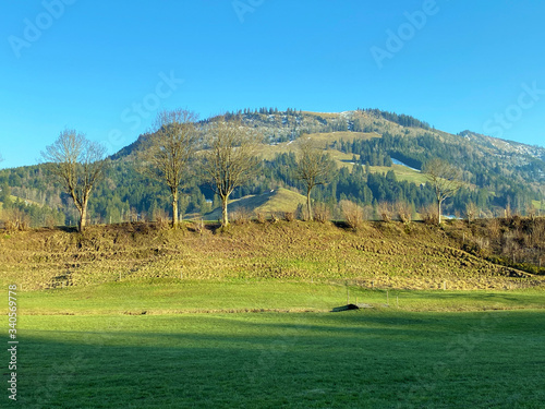 Alpine mountain hills Chli Amseln and Amselspitz over the Alptal valley, Einsiedeln - Canton of Schwyz, Switzerland (Schweiz) photo