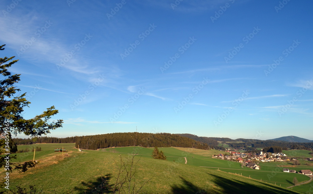 Blick auf Breitnau und Umgebung