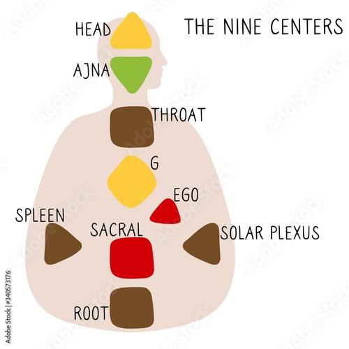 Head, ajna, throat, ego, solar plexus, sacral root spleen g center