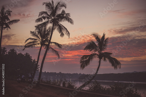 Silhouettes of palms on the embankment near the river in India during the colorful sunset with cloudy sky