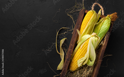 Fotografering Fresh corn cobs on black background, copy space for chalk text