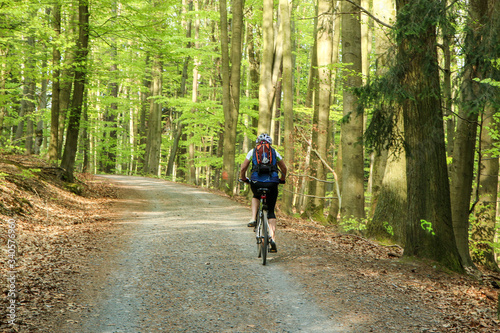 The picture from the nature park in Czech Republic called "Voděradské bučiny" (Voděrady´s beeches). Riding the bike throug the wood.