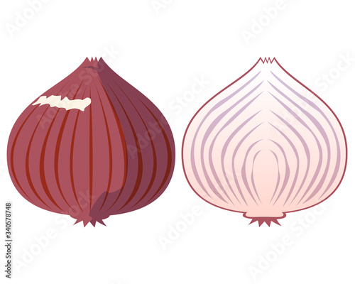野菜　タマネギ　