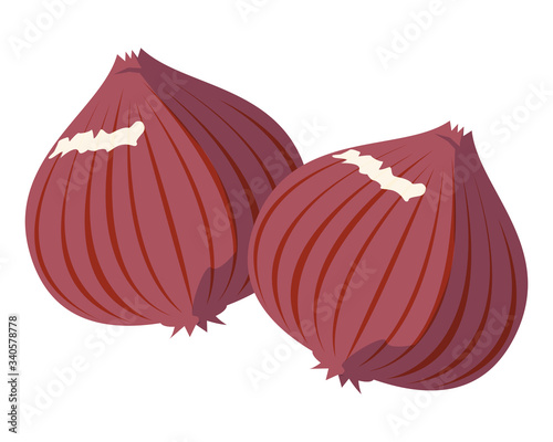 野菜　タマネギ　