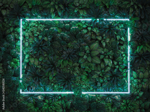 Fototapeta Naklejka Na Ścianę i Meble -  Green leaves with neon light frame