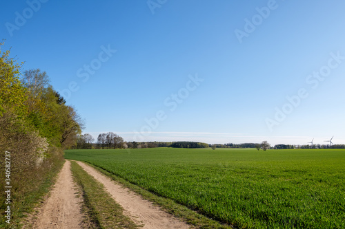 A landscape of a path surrounded by a forest and fields with a blue sky.