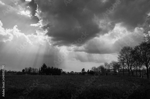 sunbeams through the clouds in dark landscape with tree on foreground in black and white
