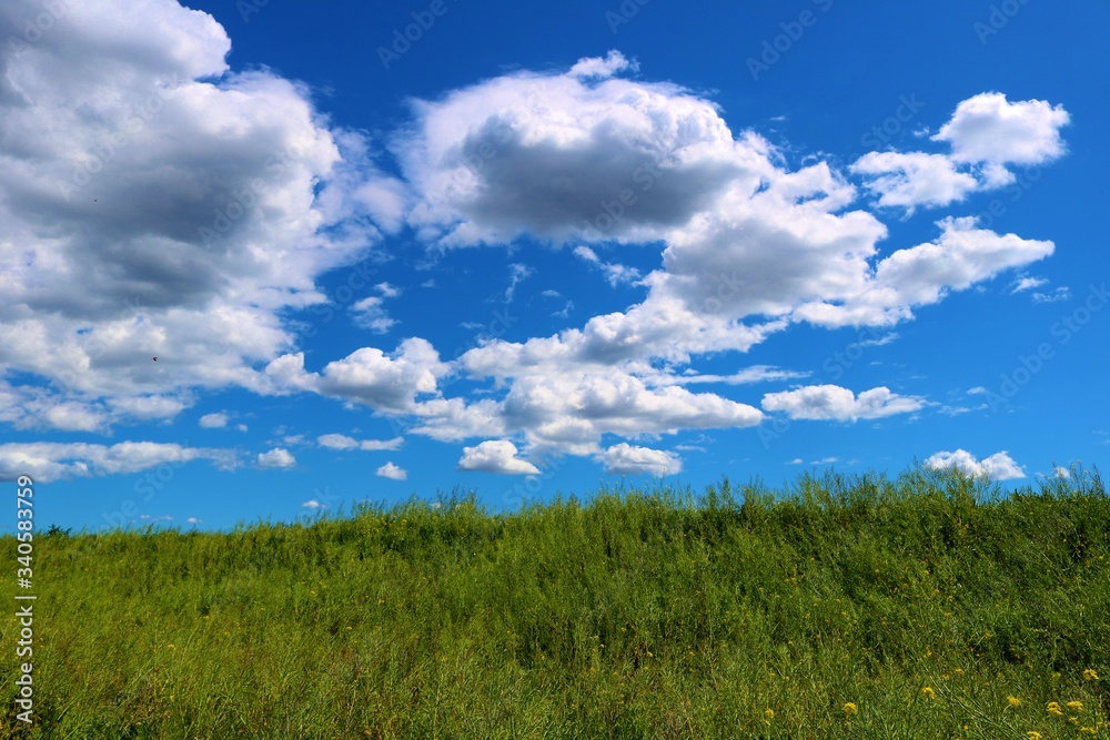 渡良瀬の春 爽やか 風景 杤木 渡良瀬の春 爽やか 風景 杤木